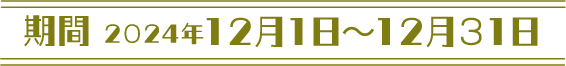 期間 2024.12.1~2024.12.31